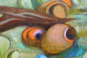 2015 - 72 (3)