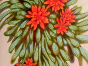 Red flowers I. Oil on paper, 30 x 44 cm, 2016.